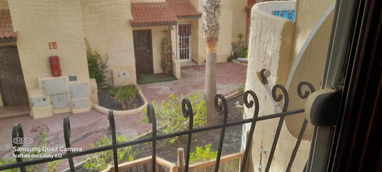 Surf & Chill Bungalow 69, Quiet Green Oasis With Community Swimmingpool Parque Holandes Exterior photo