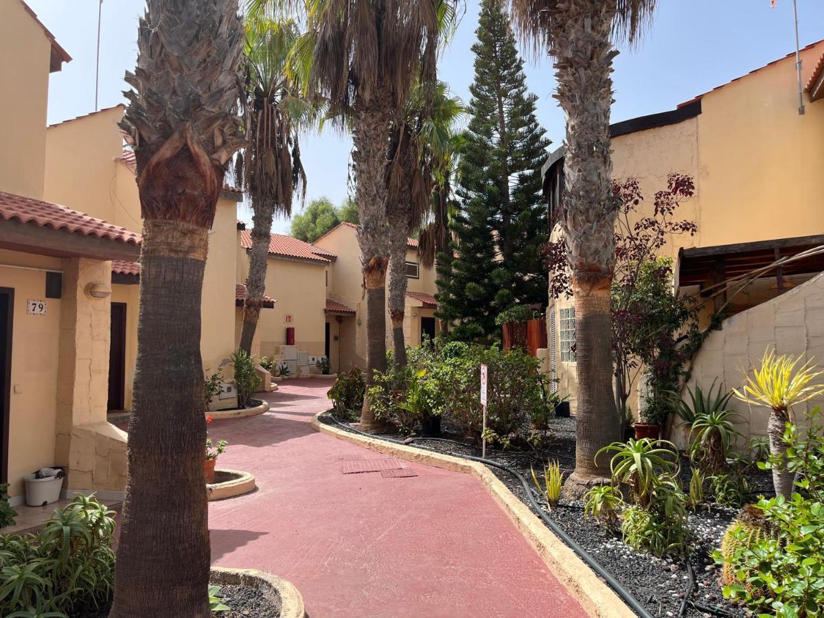 Surf & Chill Bungalow 69, Quiet Green Oasis With Community Swimmingpool Parque Holandes Exterior photo