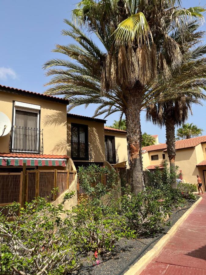 Surf & Chill Bungalow 69, Quiet Green Oasis With Community Swimmingpool Parque Holandes Exterior photo