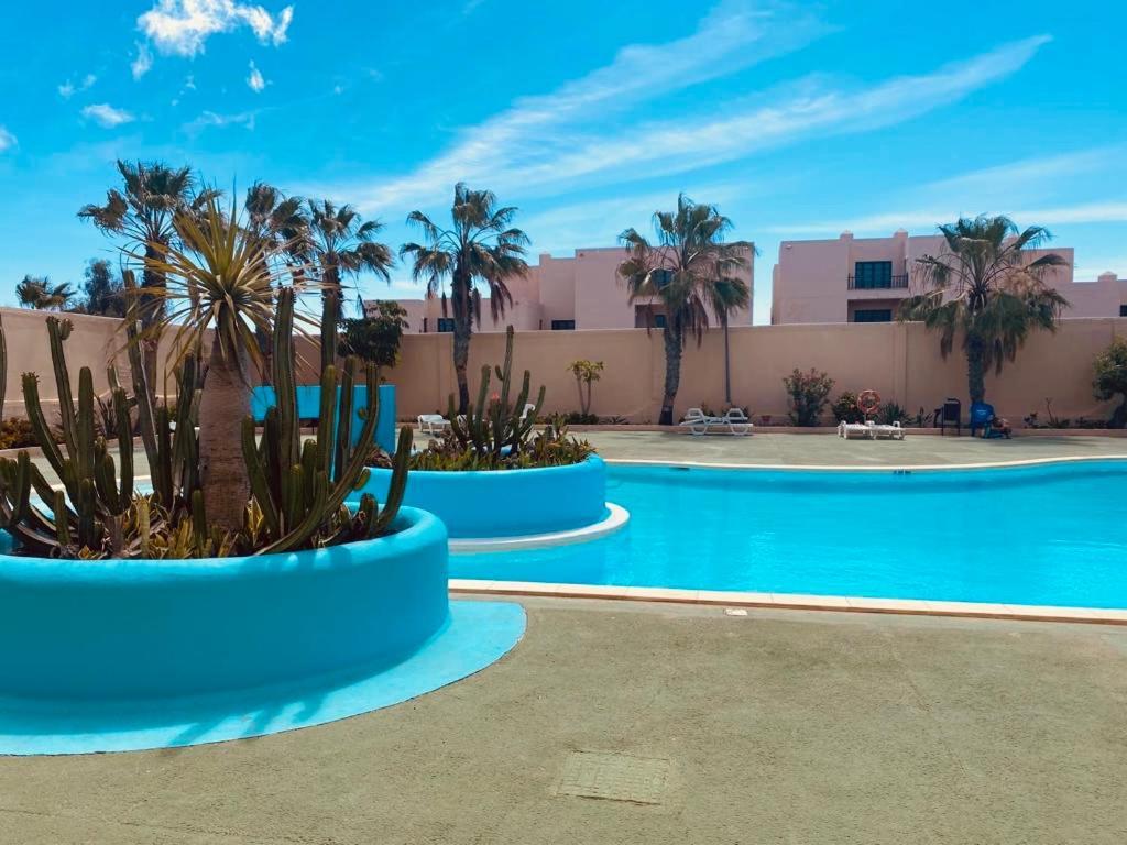 Surf & Chill Bungalow 69, Quiet Green Oasis With Community Swimmingpool Parque Holandes Exterior photo