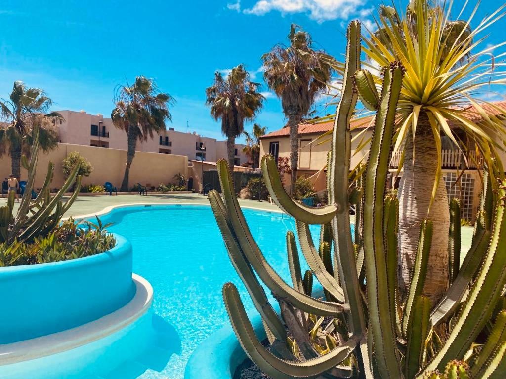 Surf & Chill Bungalow 69, Quiet Green Oasis With Community Swimmingpool Parque Holandes Exterior photo